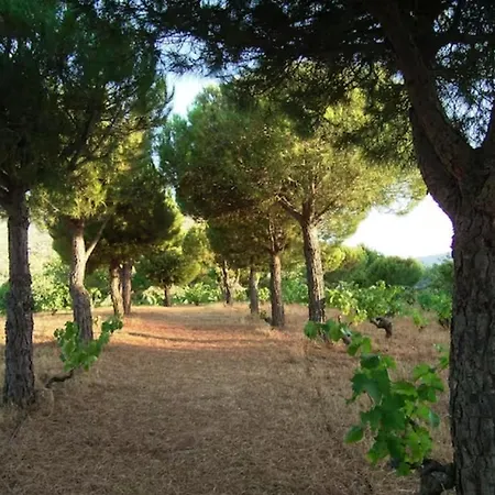Isla Del Burguillo Casa de Campo Ávila