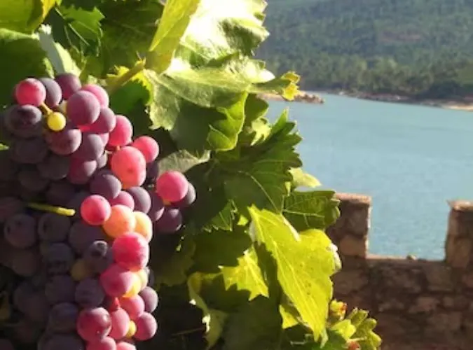 Isla Del Burguillo * Ávila