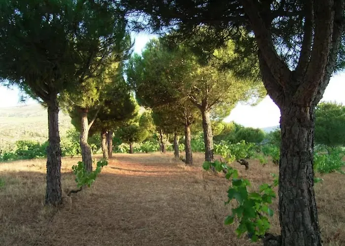 Isla Del Burguillo 컨트리하우스 Ávila